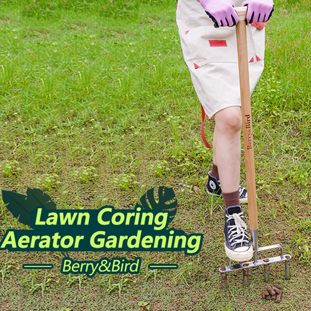 Berry Bird-不銹鋼通氣叉