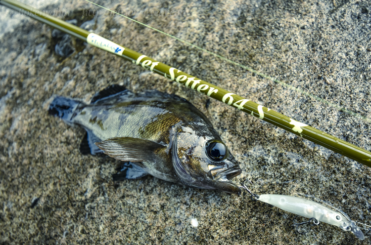 ツララ ジェットセッター64S