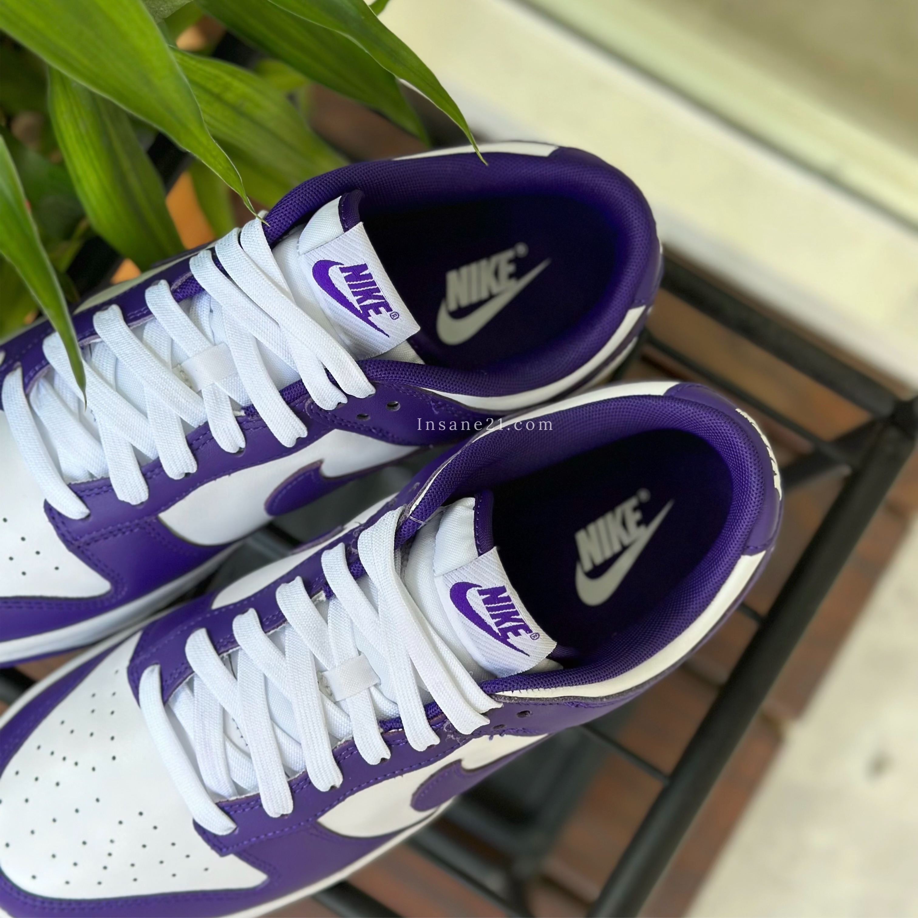 NIKE DUNK LOW RETRO COURT PURPLE 白紫葡萄DD1391-104