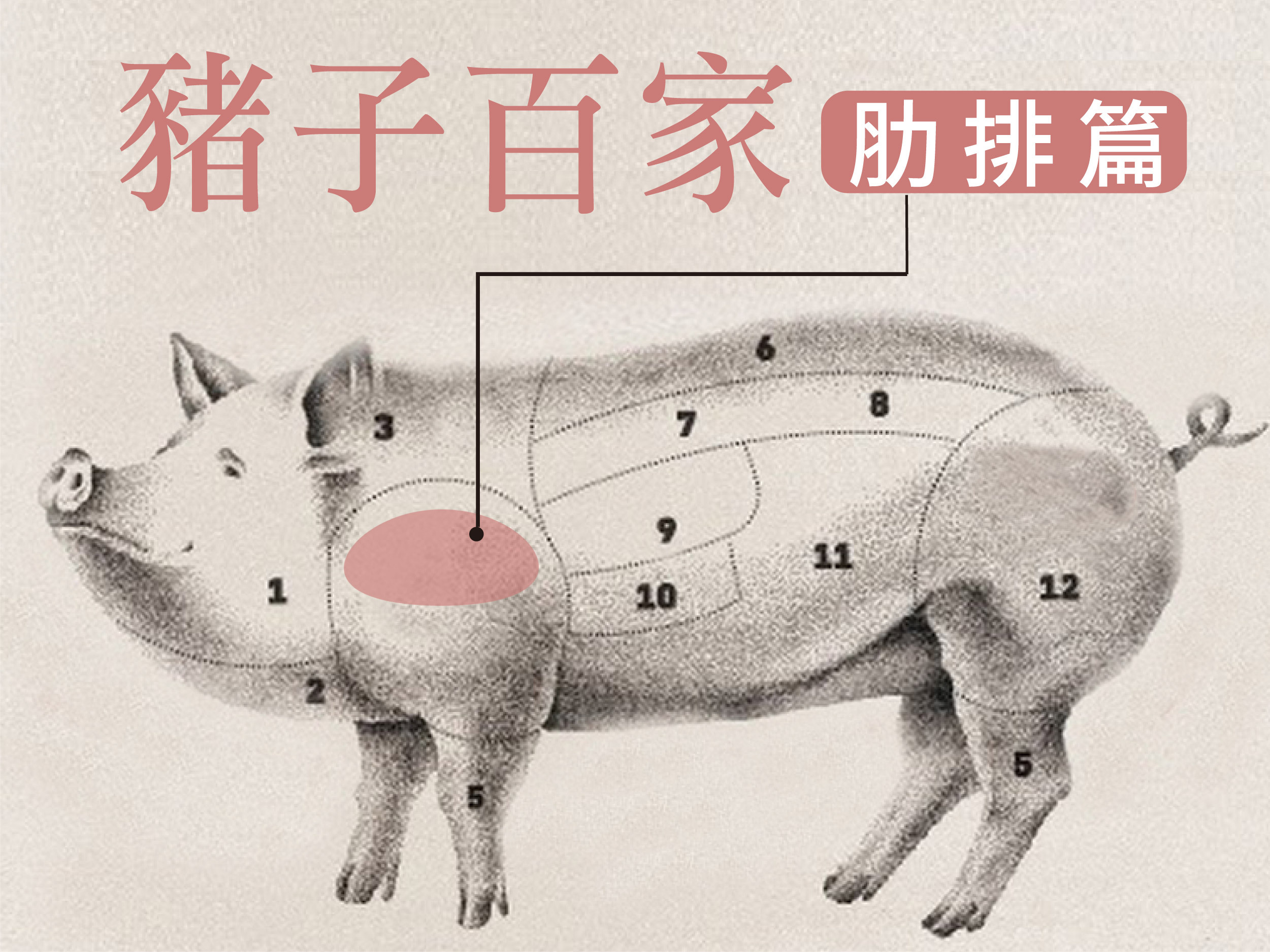肋排,腩排