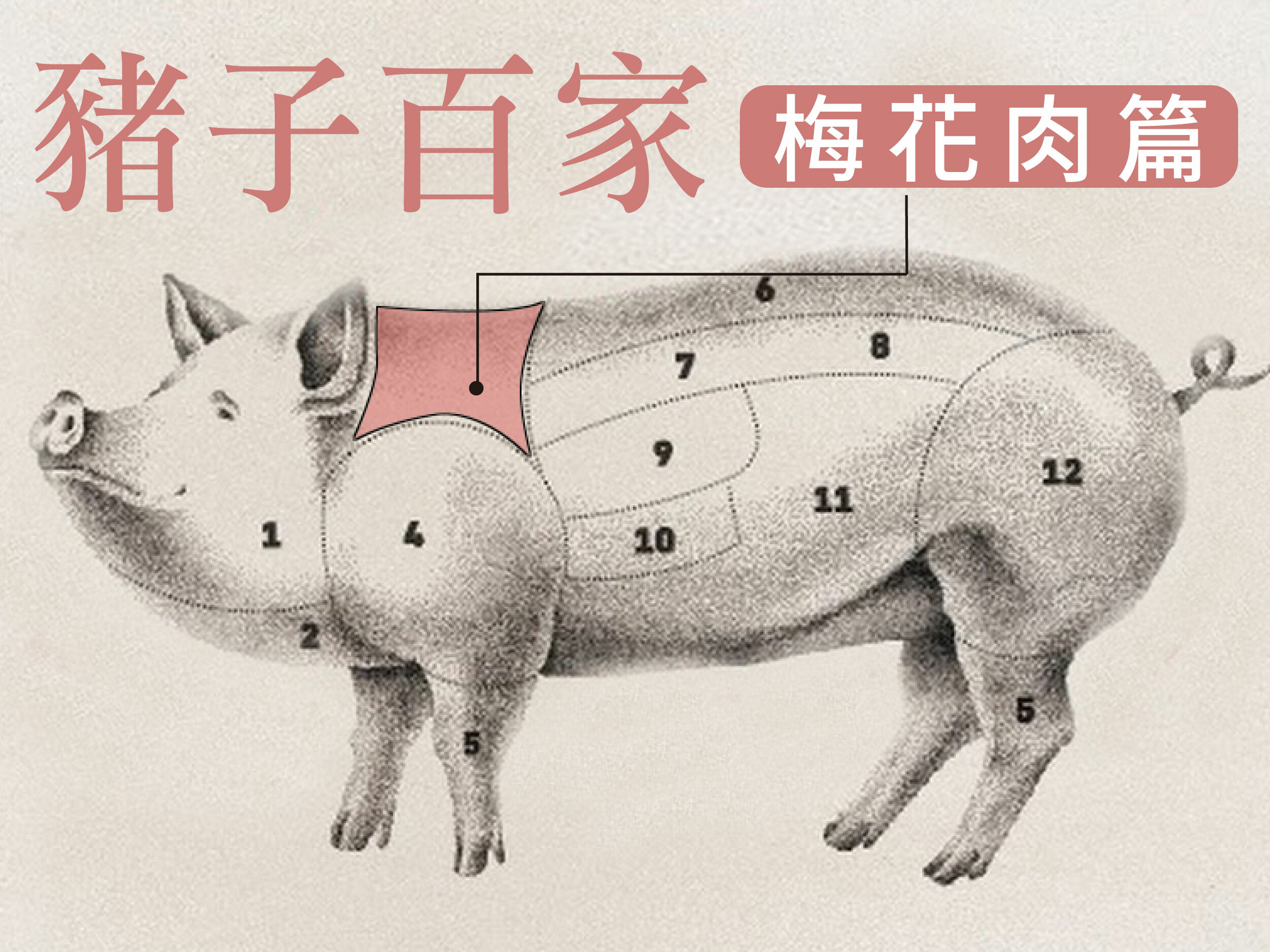 梅花肉
