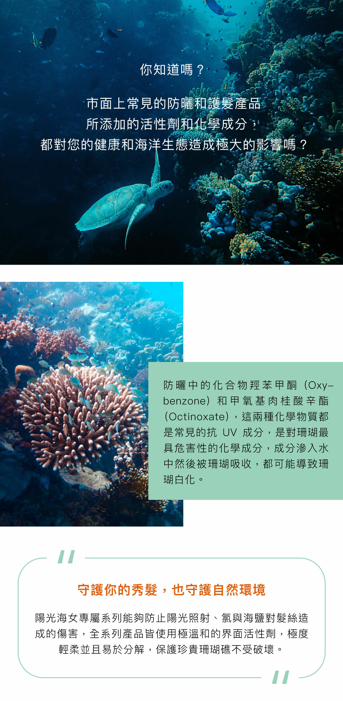 海洋友善,衝浪必備,浮潛必備
