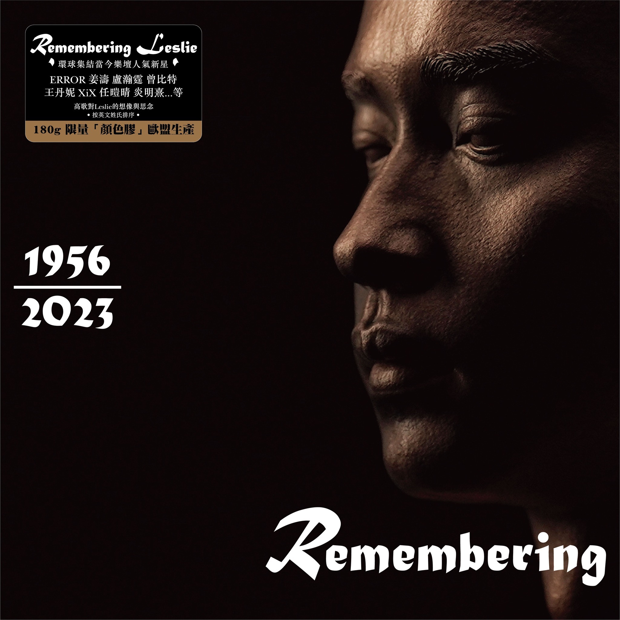 VA - REMEMBERING Leslie LP (灰色膠唱片)