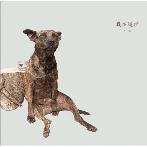 ALLEN-我在這裡 CD