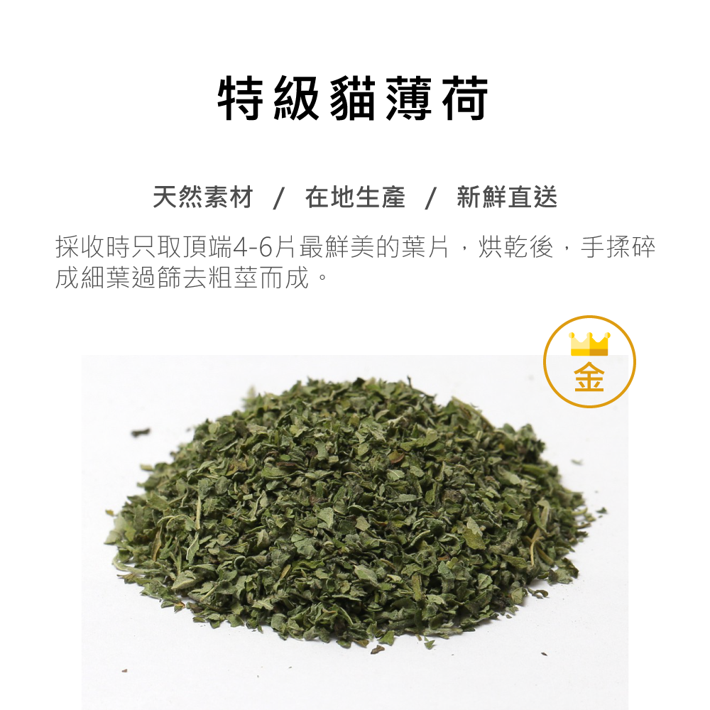 Catfeet | 茨木草特級貓薄荷-金