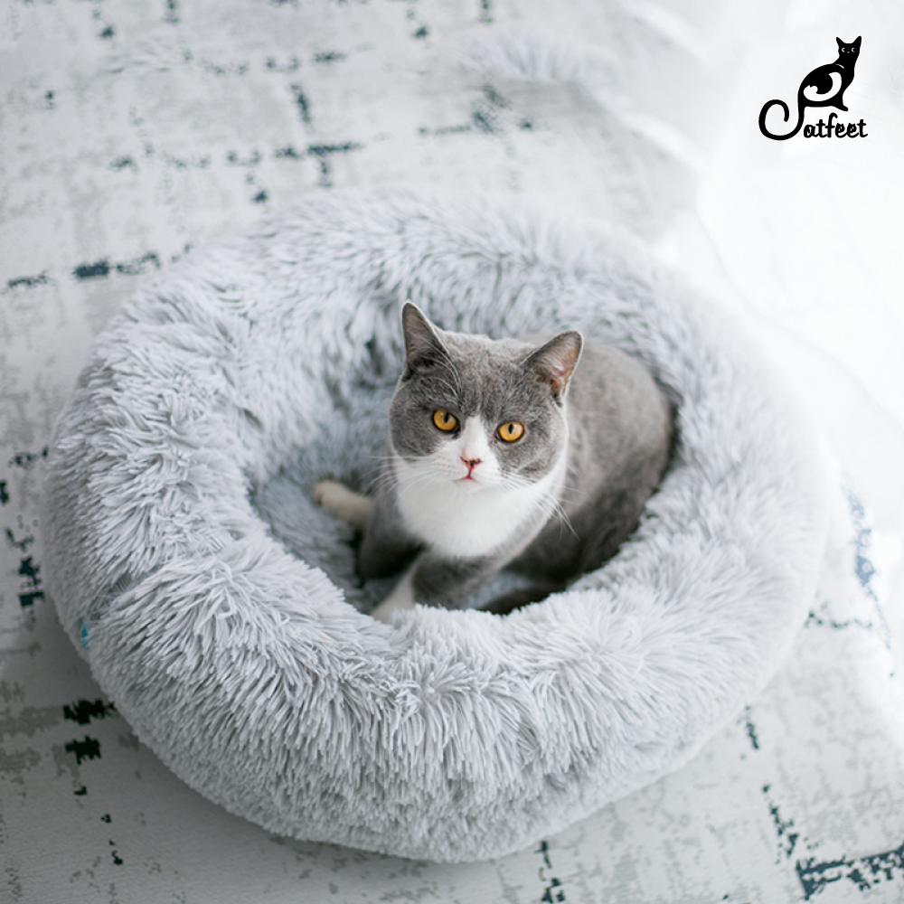 Catfeet | 多拿滋甜甜圈睡床▸