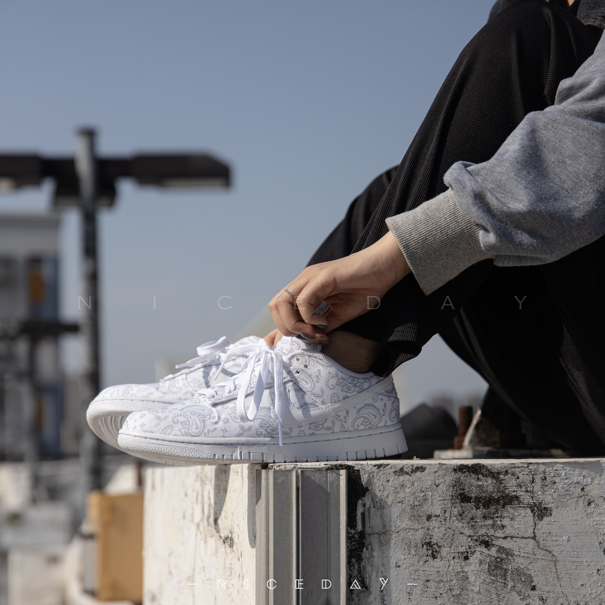 【 零碼出清 】 Nike Dunk Low ESS 腰果花 全白 印花 女款 DJ9955-100