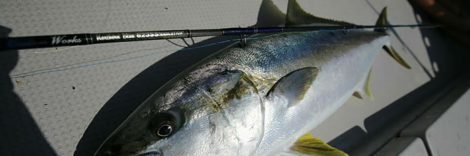 MC WORKS' Northern Blue NB623SS Jigging Rod