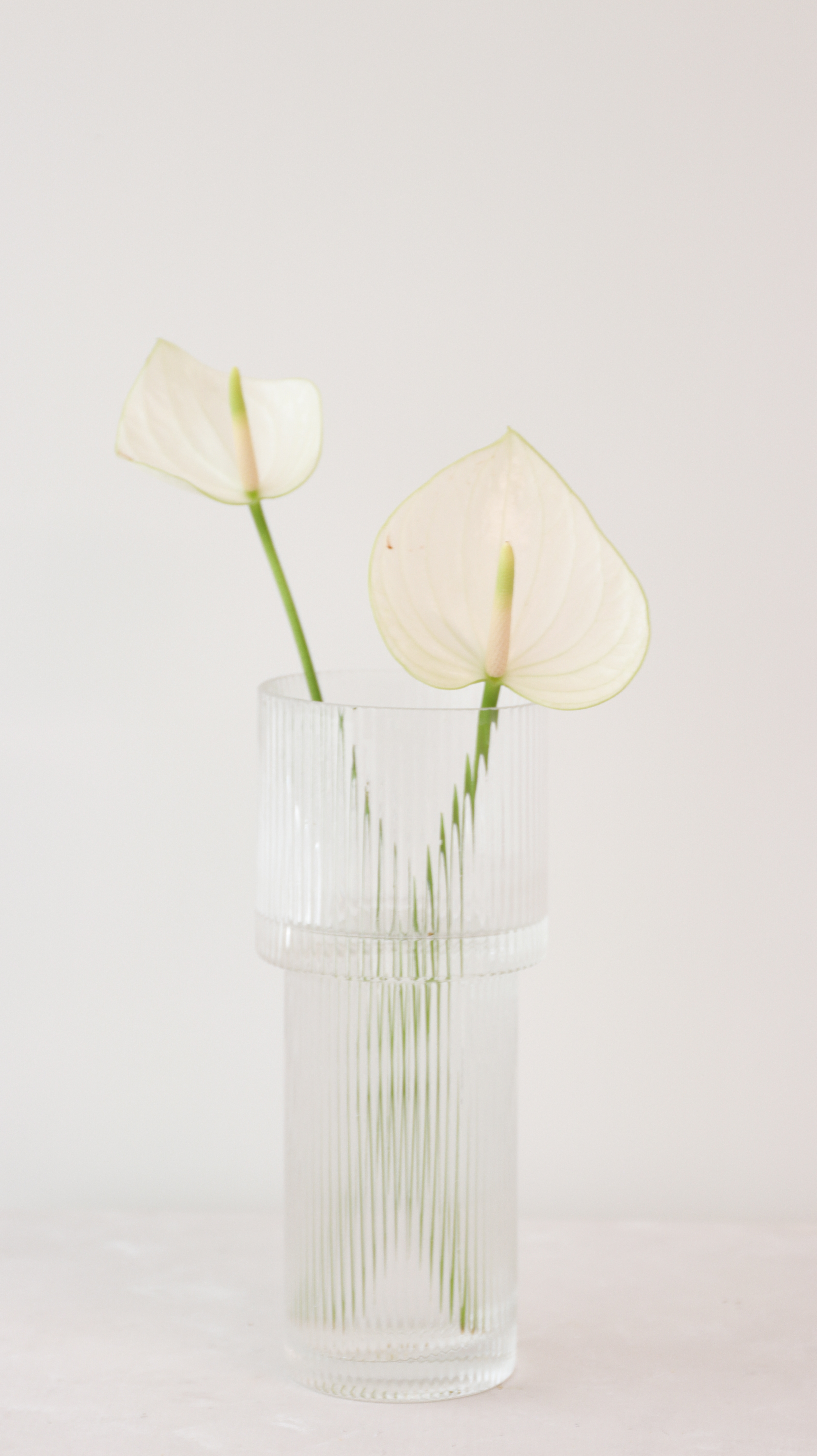 RUNI Select -簡約波紋淡雅花瓶