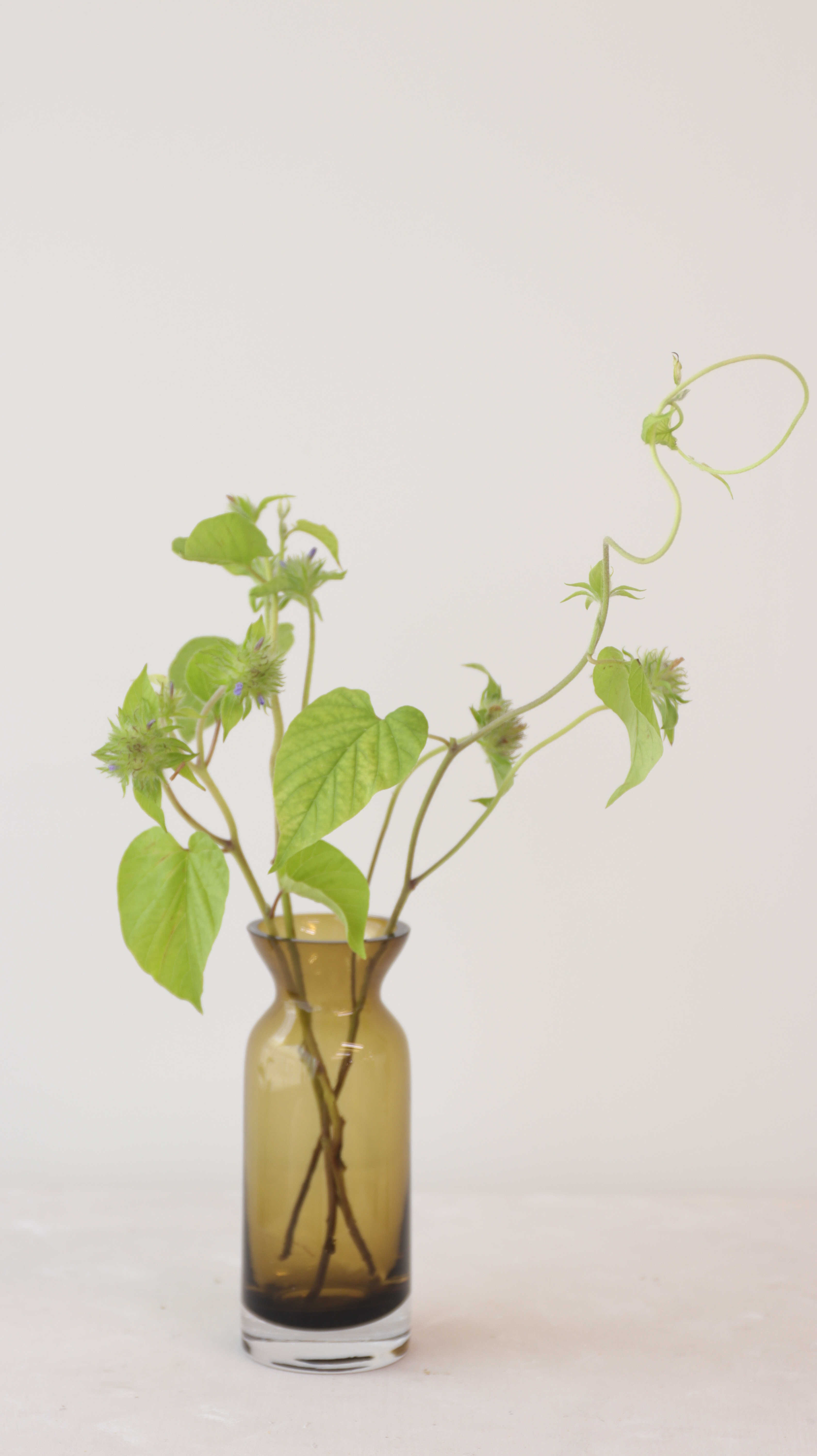 RUNI Select -迷你歐風花瓶（有2色可選）