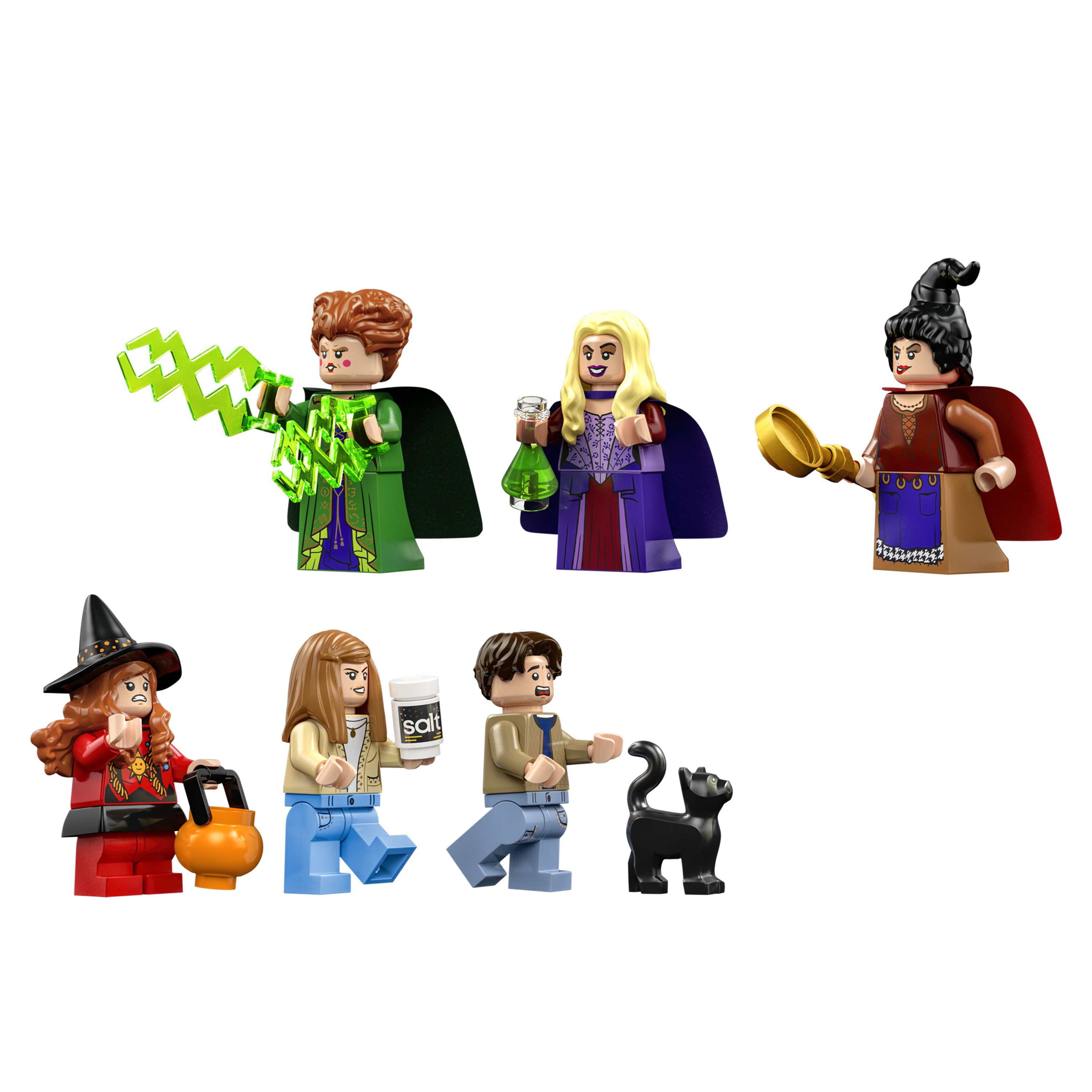 LEGO 21341 迪士尼《女巫也瘋狂》