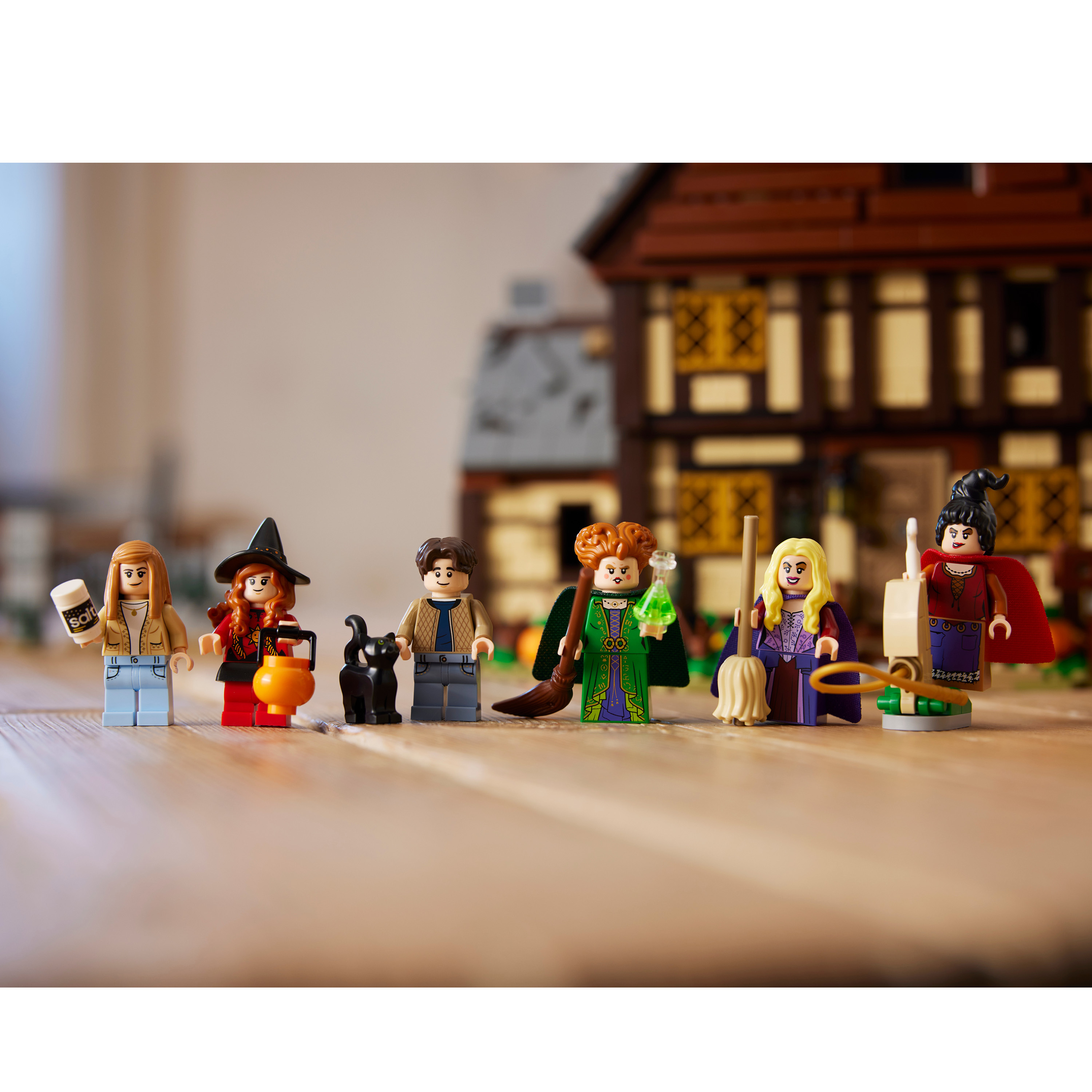 LEGO 21341 迪士尼《女巫也瘋狂》