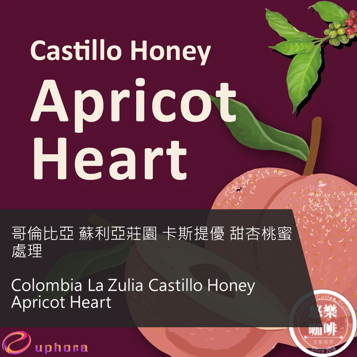 哥倫比亞 蘇利亞莊園 卡斯提優 甜杏萄蜜處理