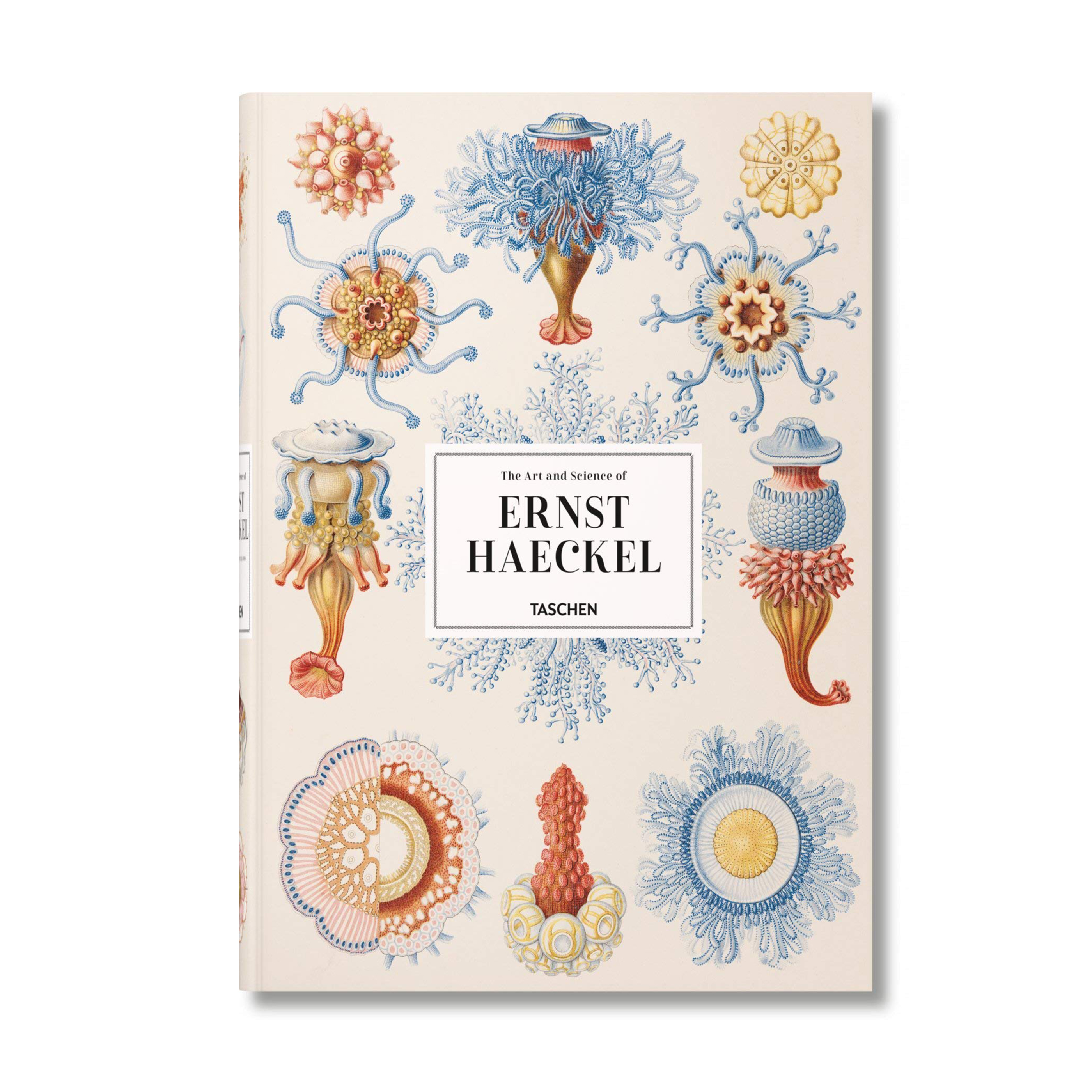ERNST HAECKEL