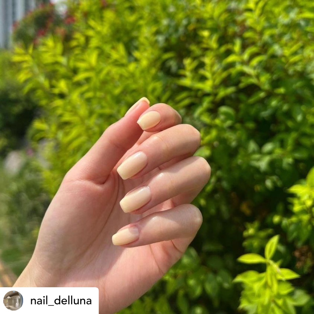 Estemio Sy31 (something )