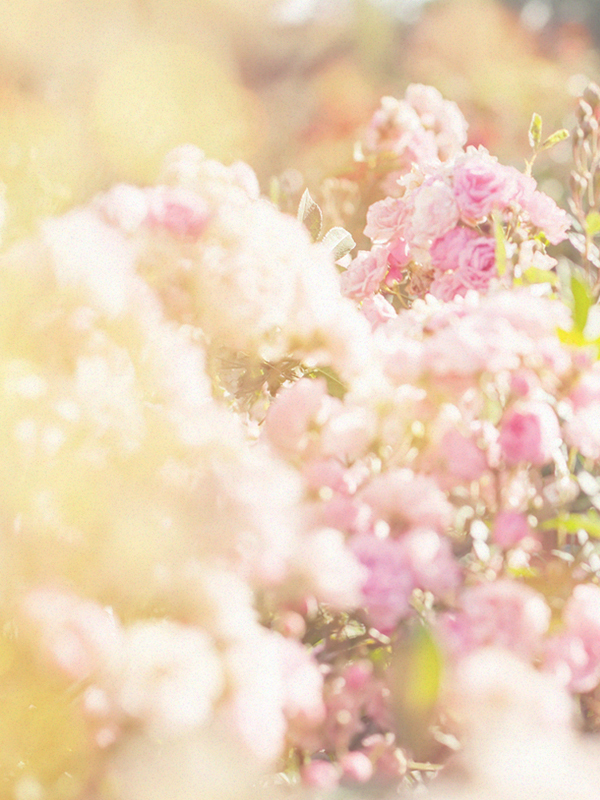 Blooming Bouquet