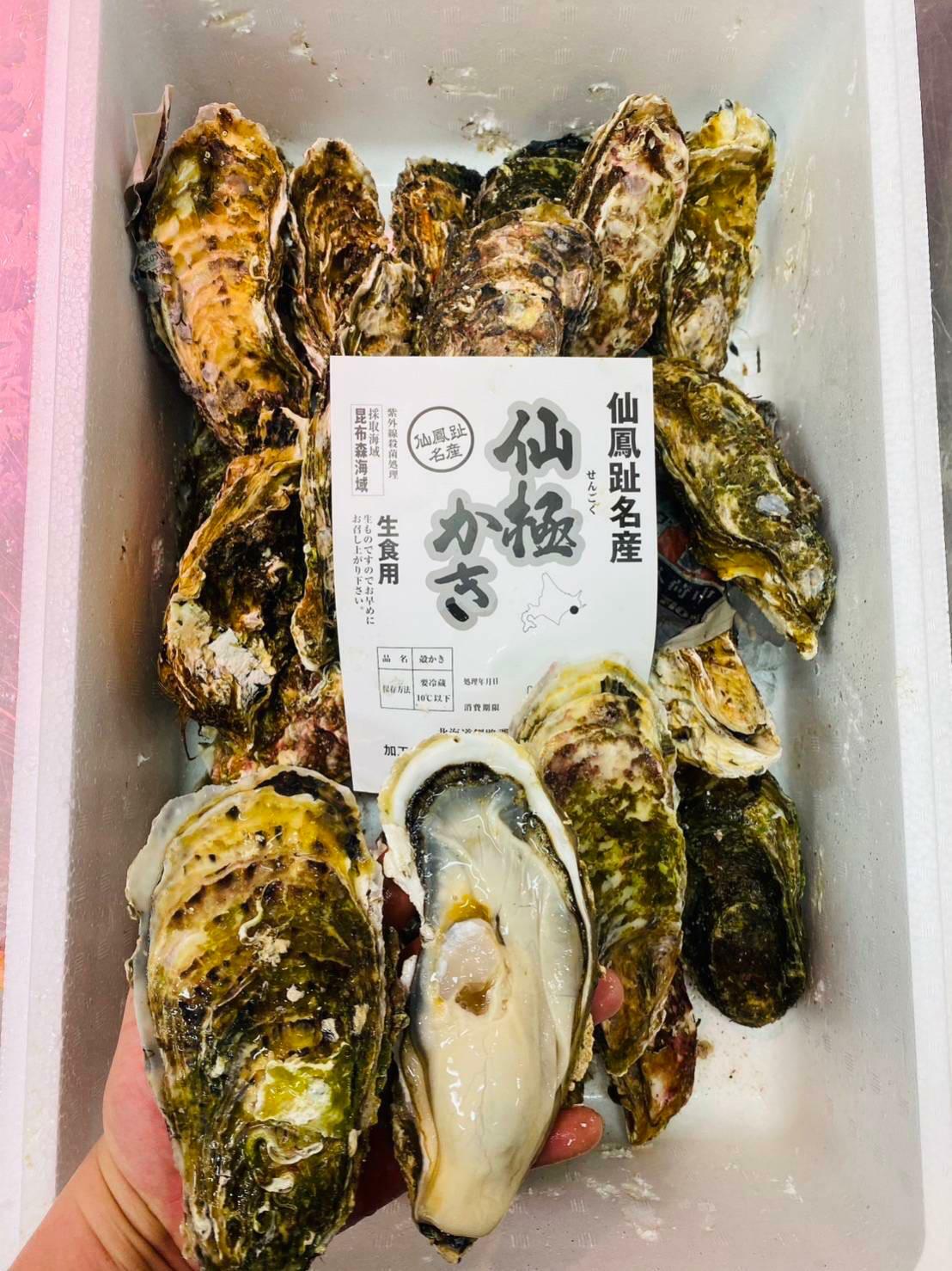 北海道 仙鳳趾