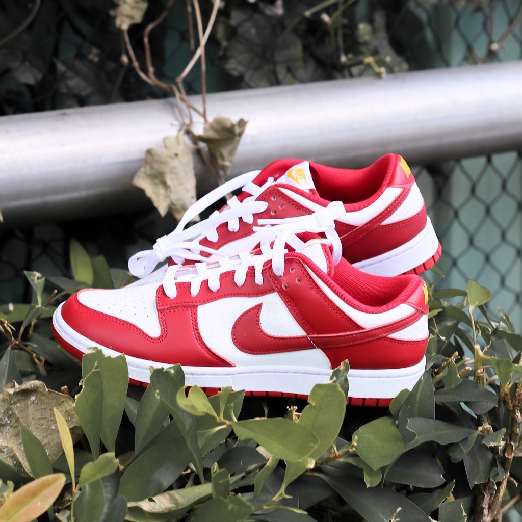 Nike Dunk Low Retro "Gym Red" 芝加哥配色 白紅 荔枝 男鞋 DD1391-602