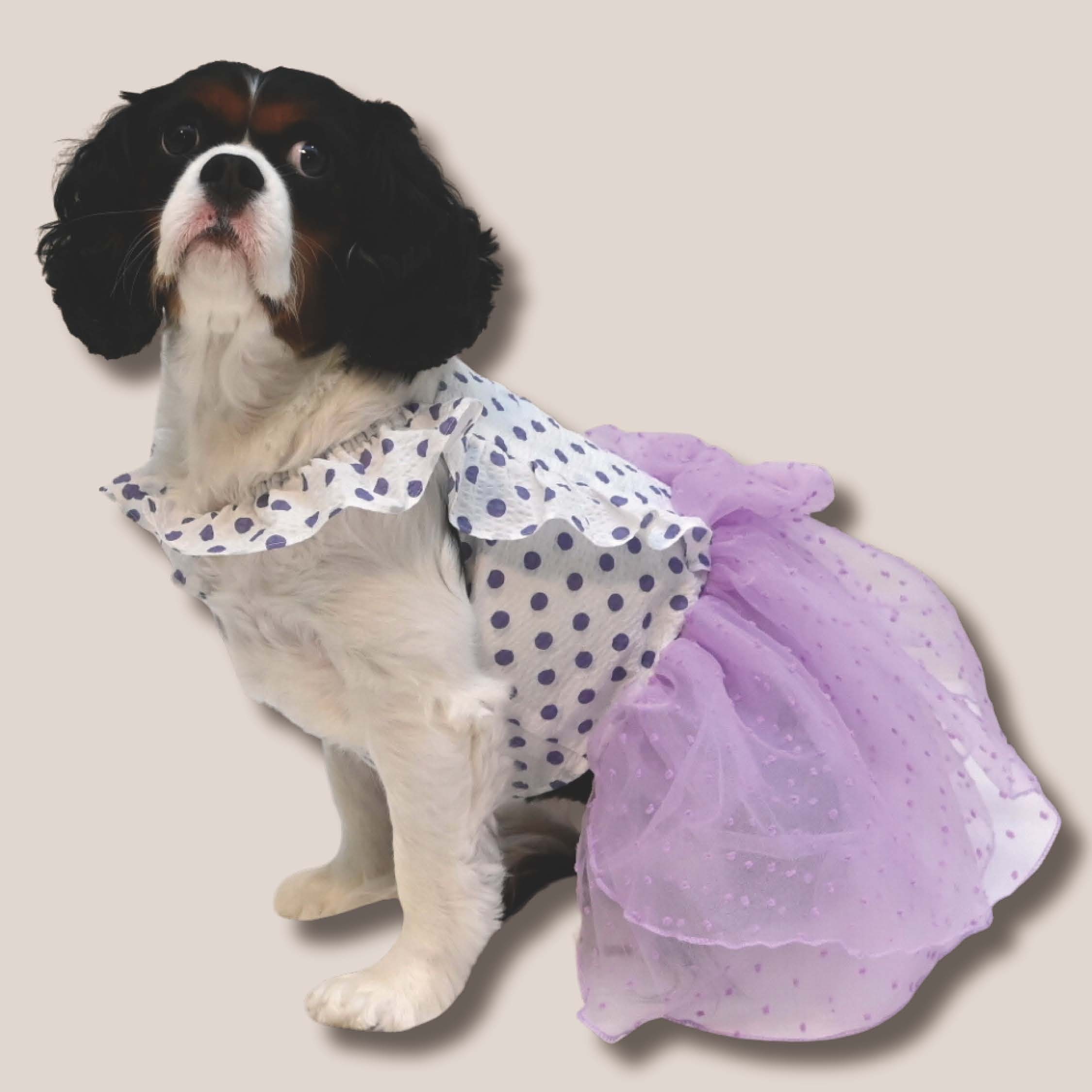 Purple Polka Dot Summer Dress