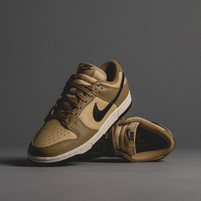 Νike Dunk Low Dark Driftwood 棕色 大地色 摩卡咖啡 女鞋 DD1503-200