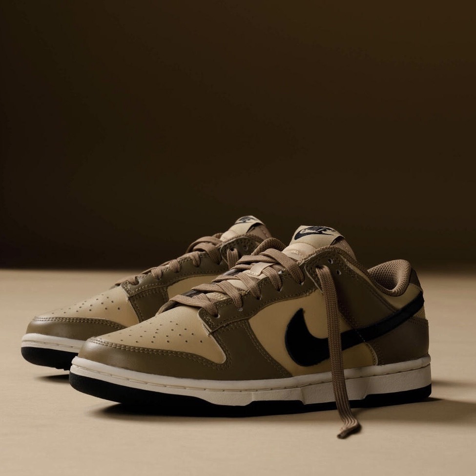 Νike Dunk Low Dark Driftwood 棕色 大地色 摩卡咖啡 女鞋 DD1503-200