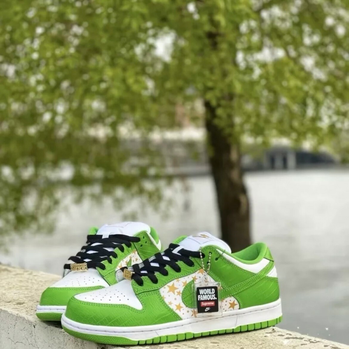 Nike SB Dunk Low x Supreme 聯名 白金綠 白綠 星星 滿天星 DH3228-101