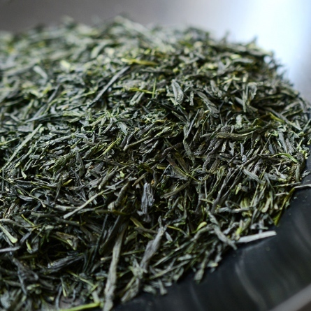 堀井七茗園 宇治煎茶 縣の杜 特撰煎茶 【綠茶 / 京都府產宇治茶】