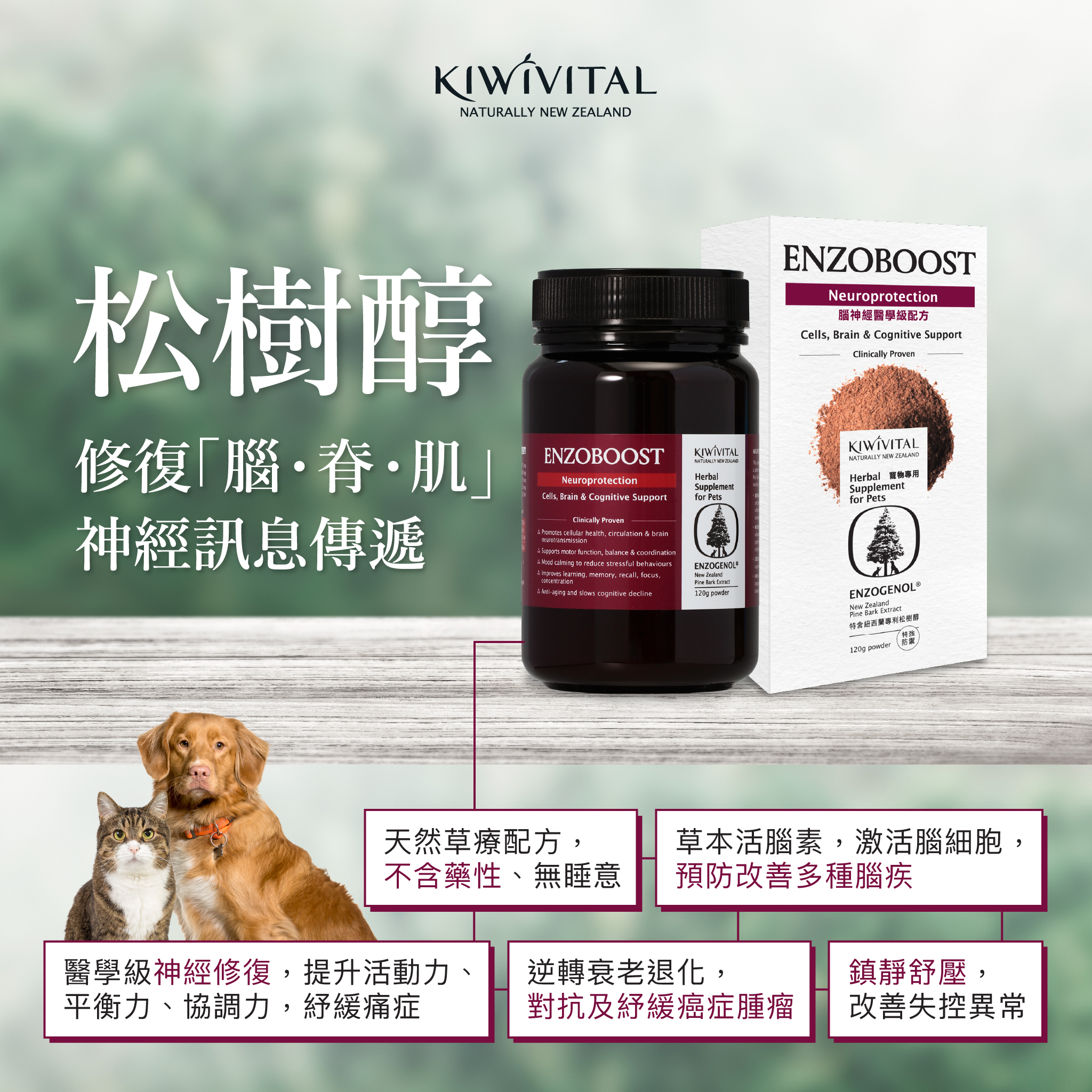 Kiwivital EnzoBoost Nueroprotection - Cells Brain & Cognitive Support 120g for cats & dogs