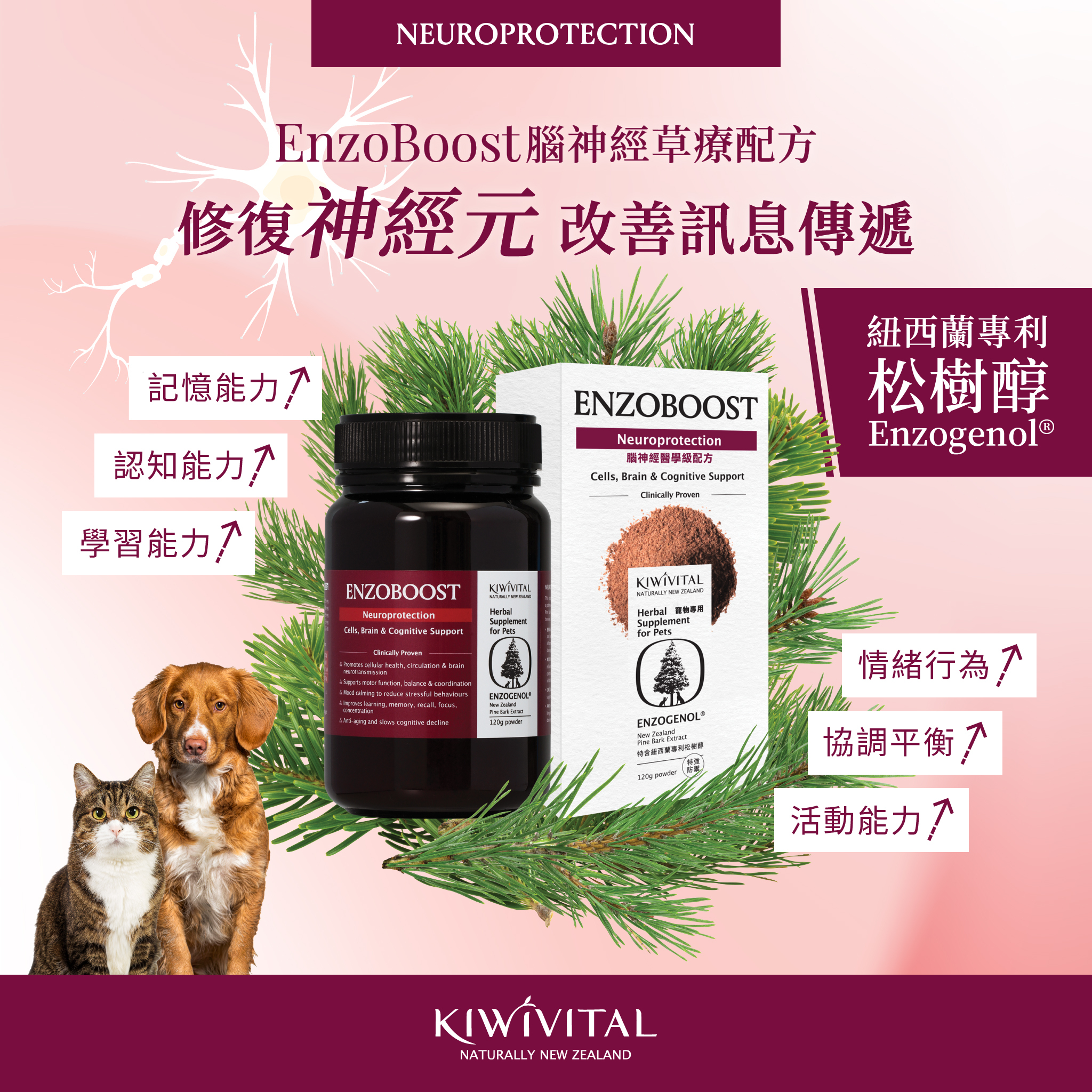 Kiwivital EnzoBoost Nueroprotection - Cells Brain & Cognitive Support 120g for cats & dogs