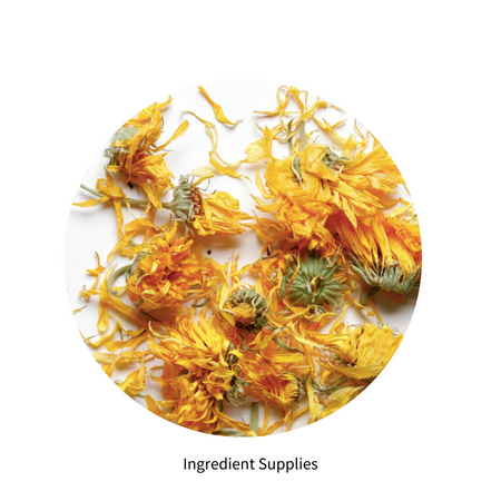 Calendula Patels 金盞花花瓣