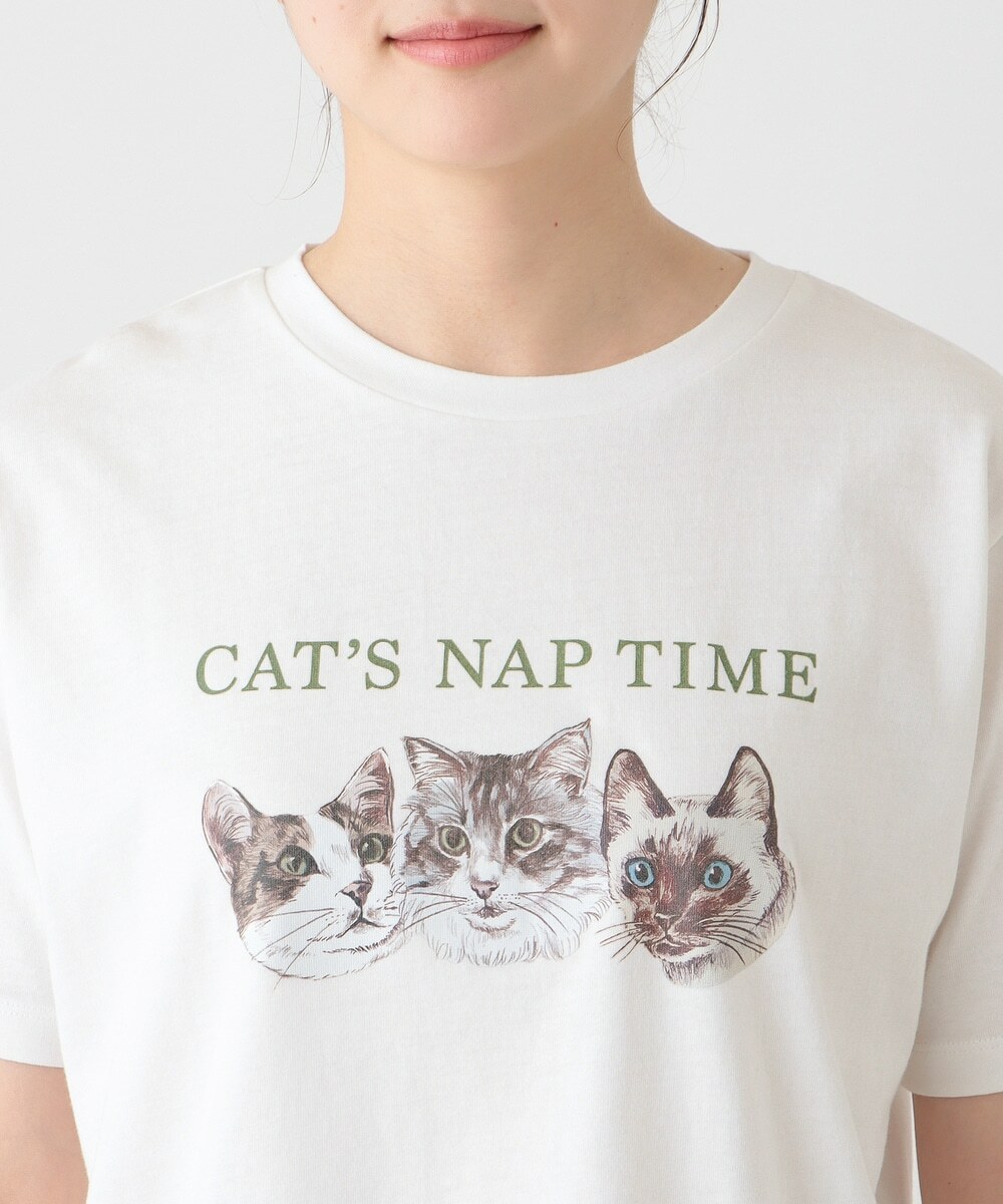日本 Cat's NapTime 貓插圖TEE