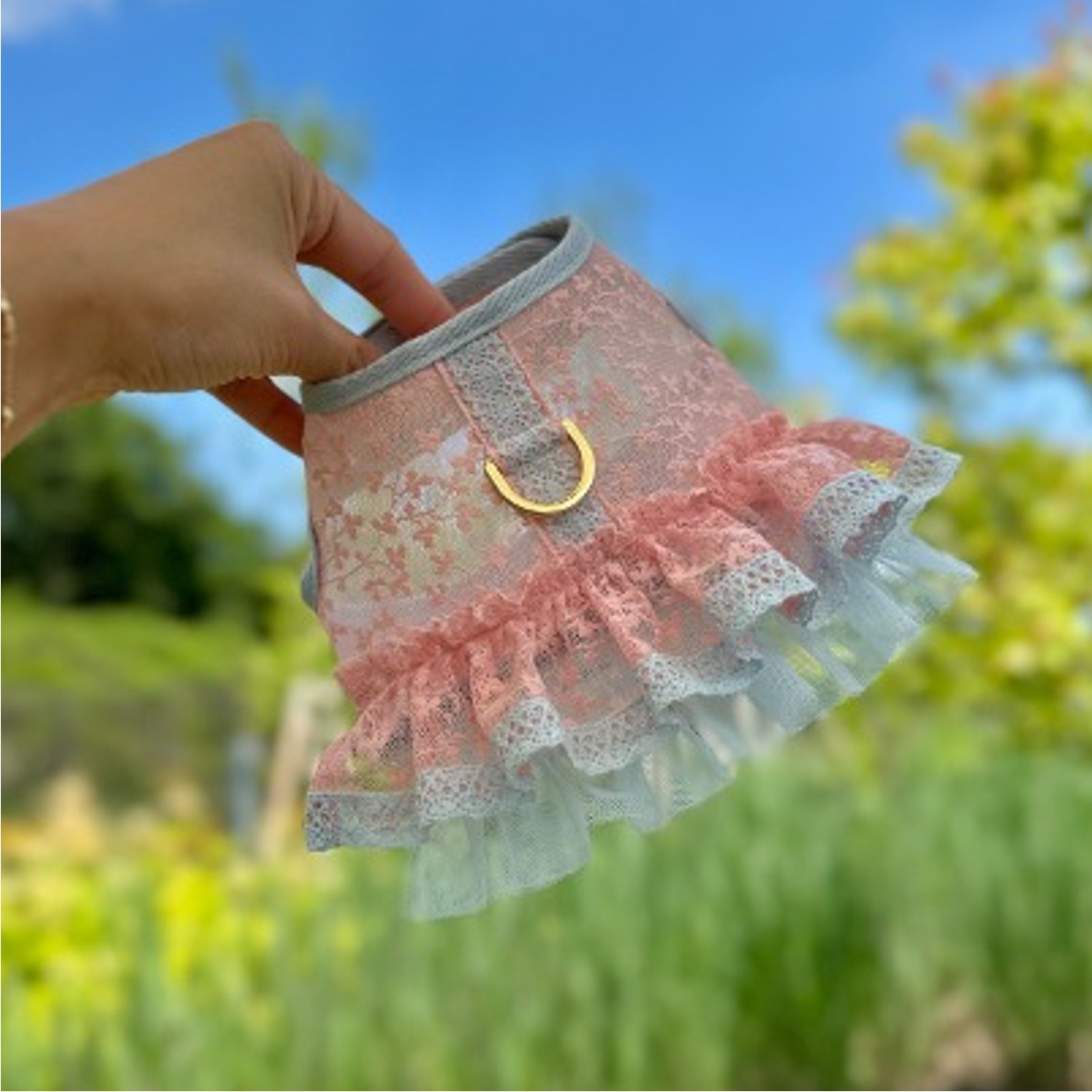 Raffine Mong 夏日蕾絲胸背