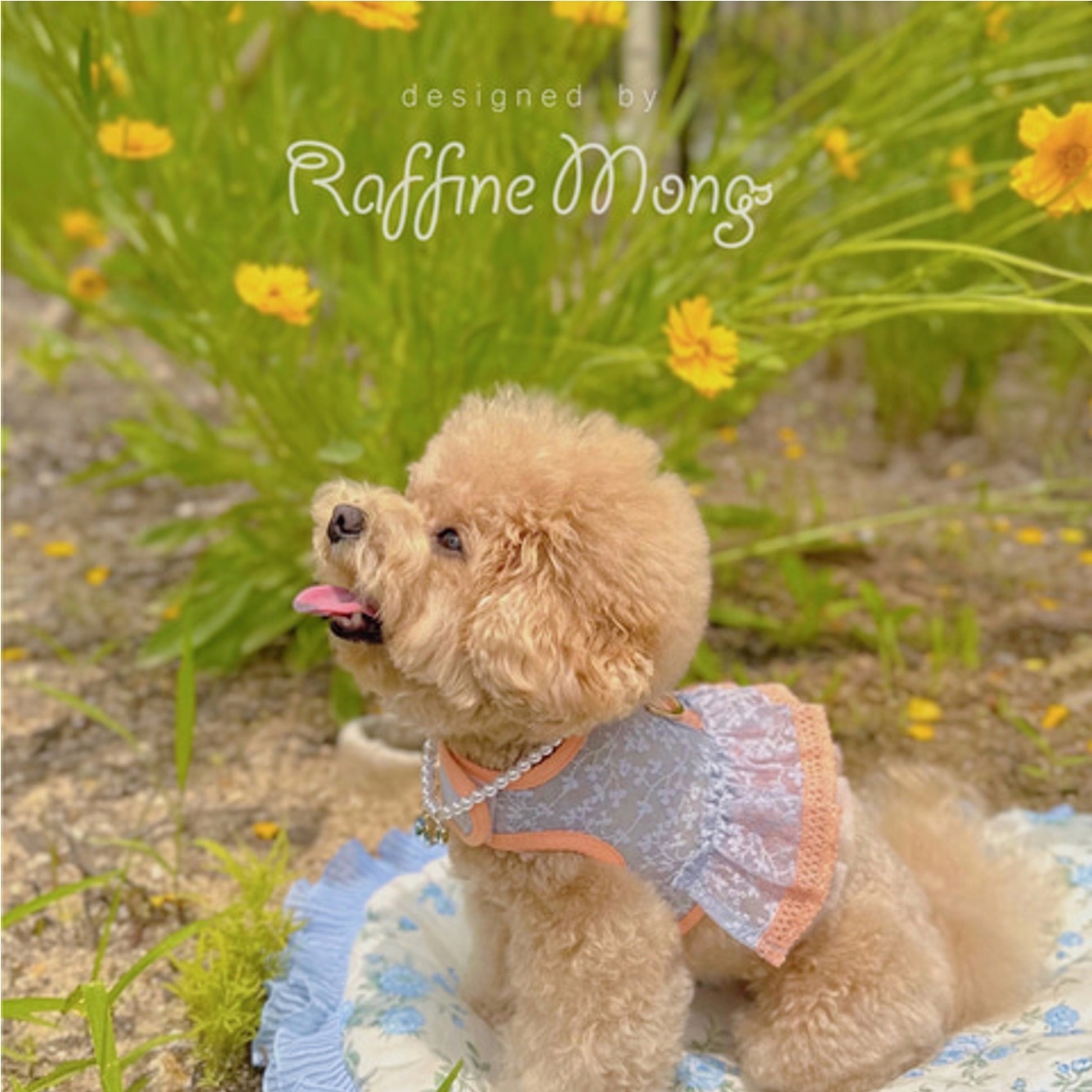 Raffine Mong 夏日蕾絲胸背