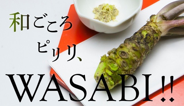 和食經典嗆辣哇沙米