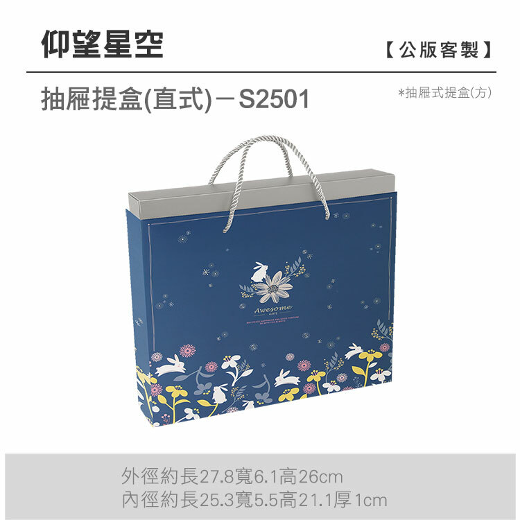 抽方-S2501_仰望星空