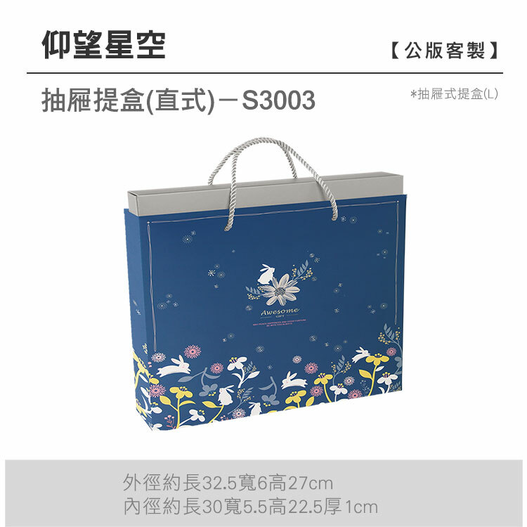 抽L-S3003_仰望星空