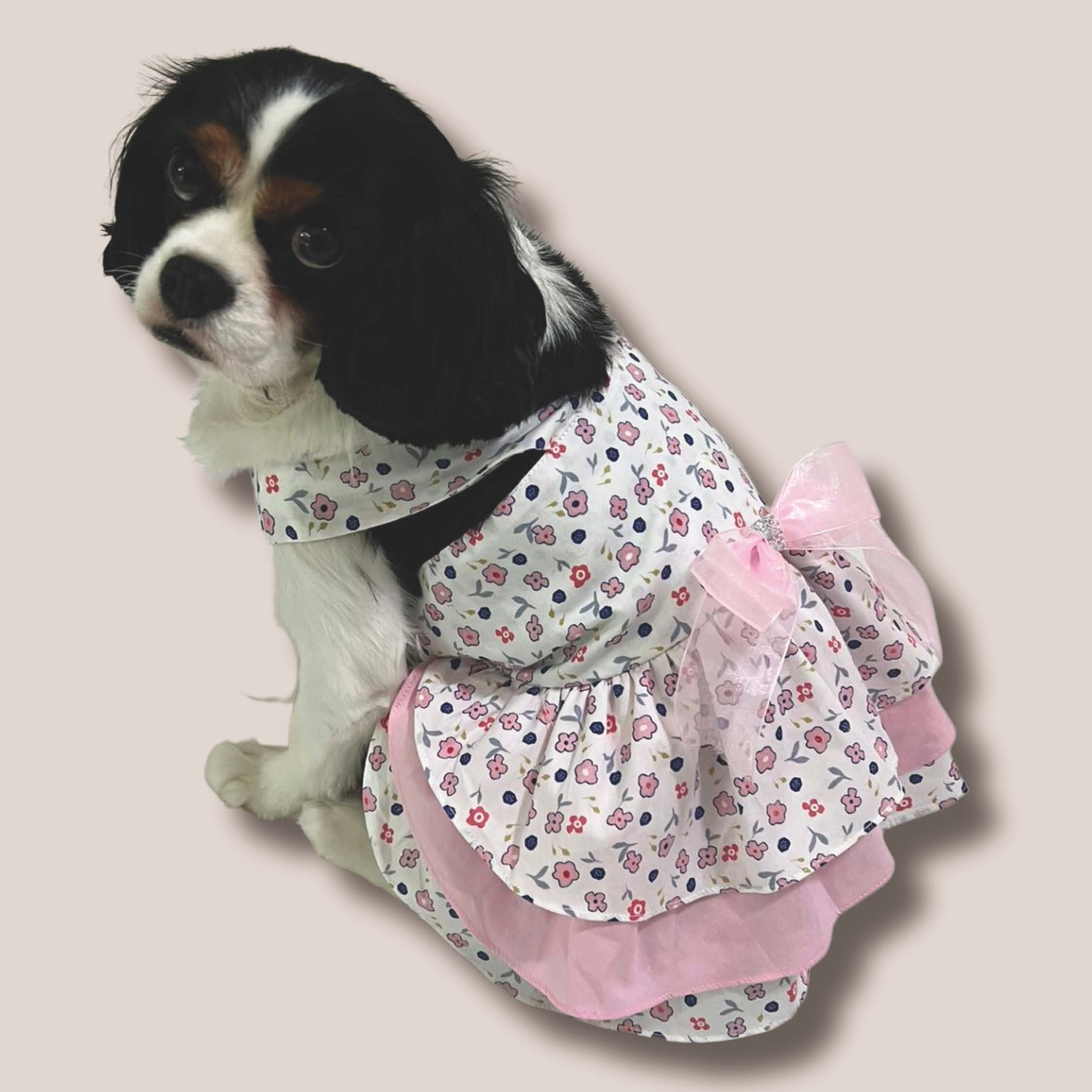 Pink Sleeveless Dress