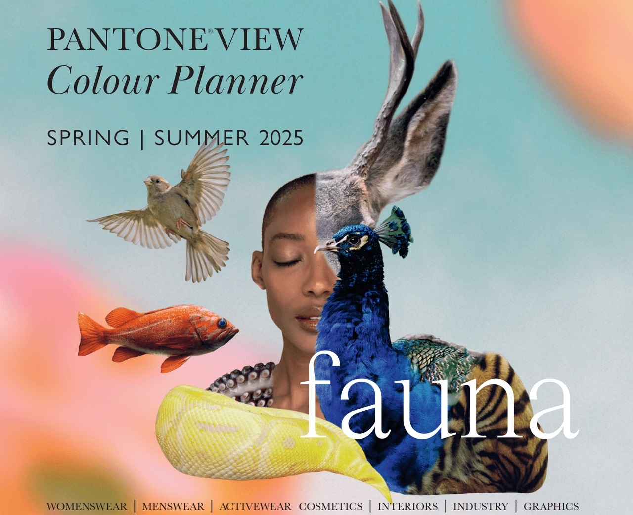 Pantone View Colour Planner SS 2025