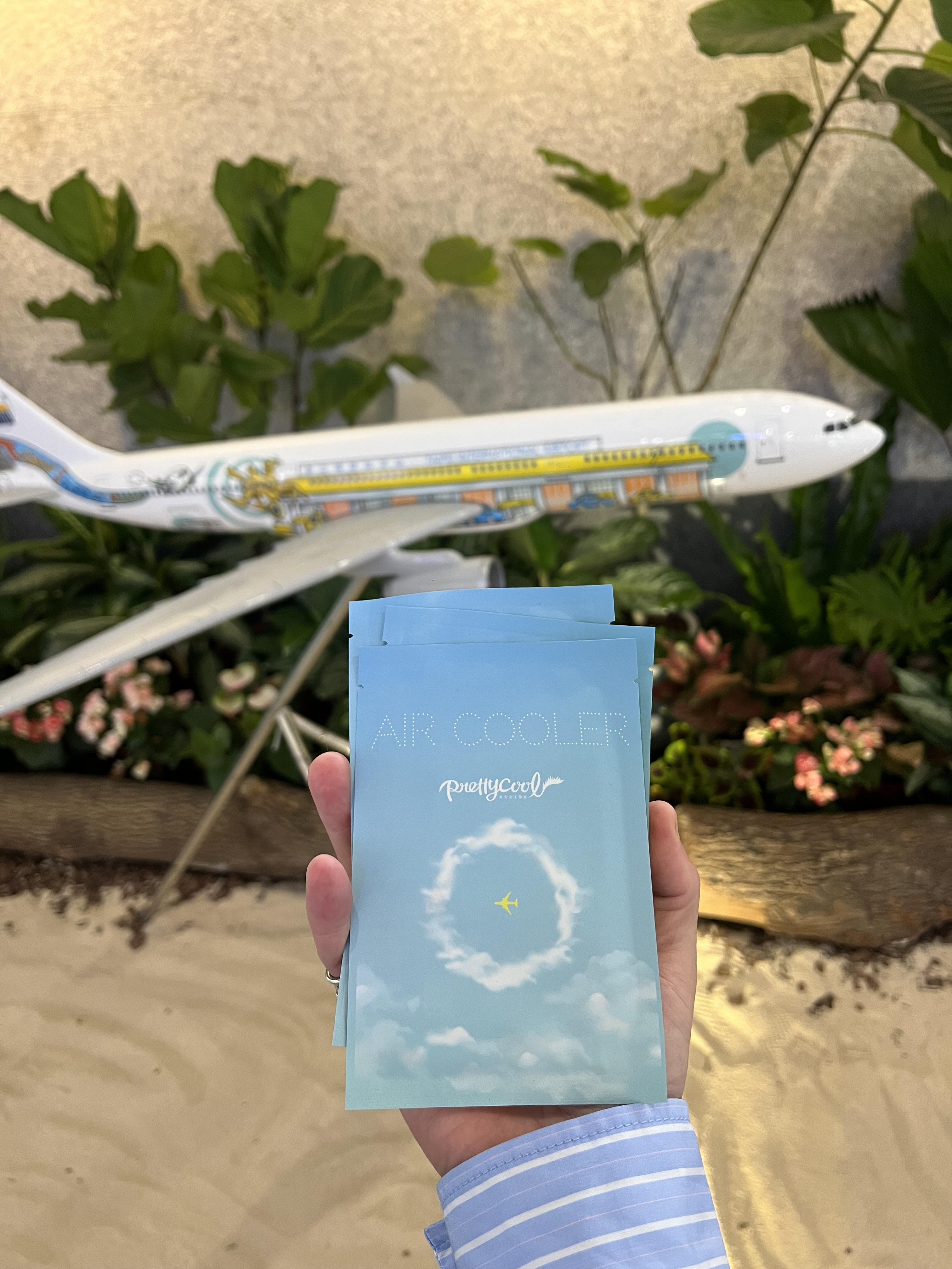 空姐面膜組10入