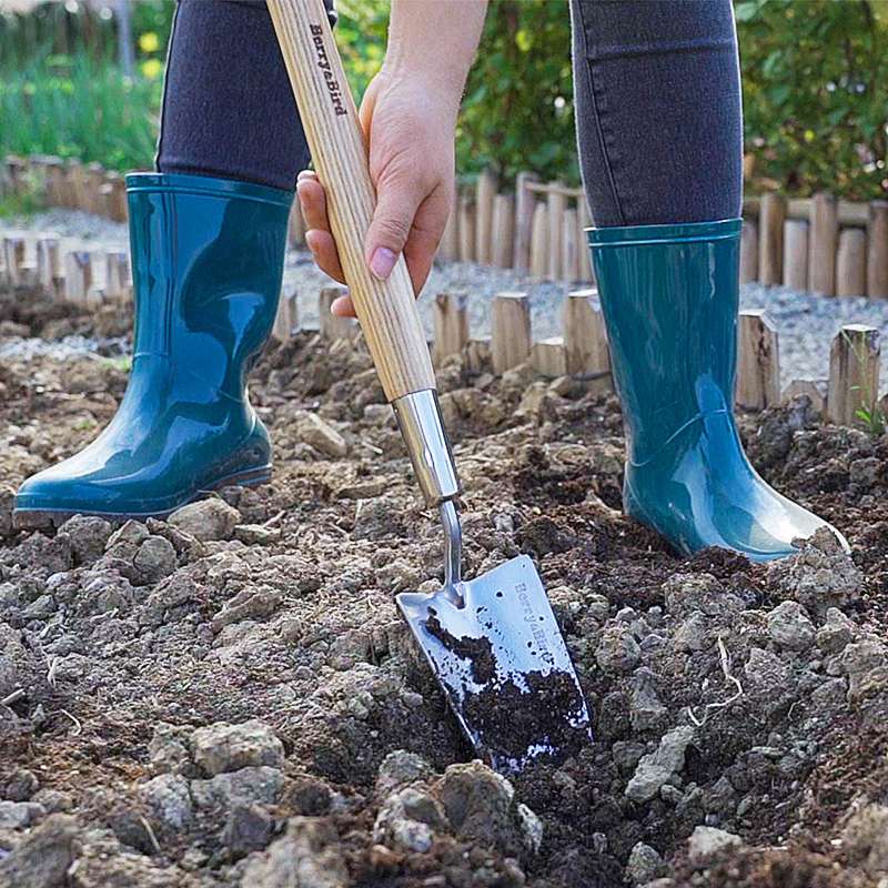 Berry Bird-不銹鋼中柄手鏟