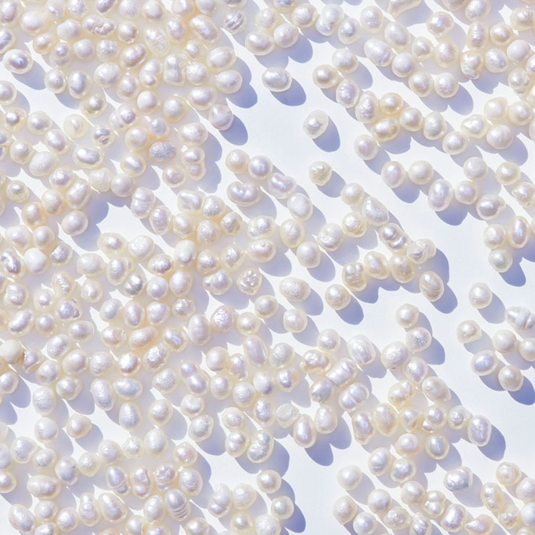 海外｜真珠粉單瓶4入