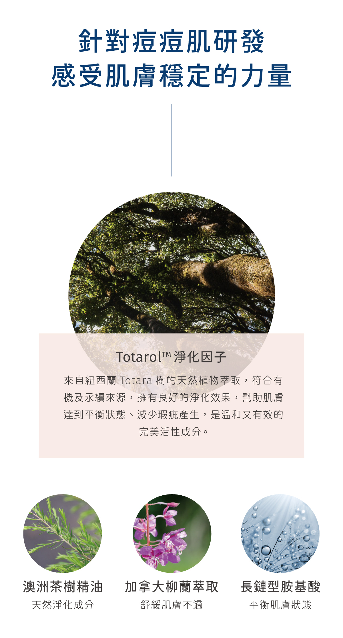 五重抗痘成分，讓肌膚更穩定