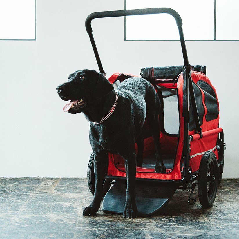 AirBuggy Carriage Stroller For Pets Berry Red 50kg