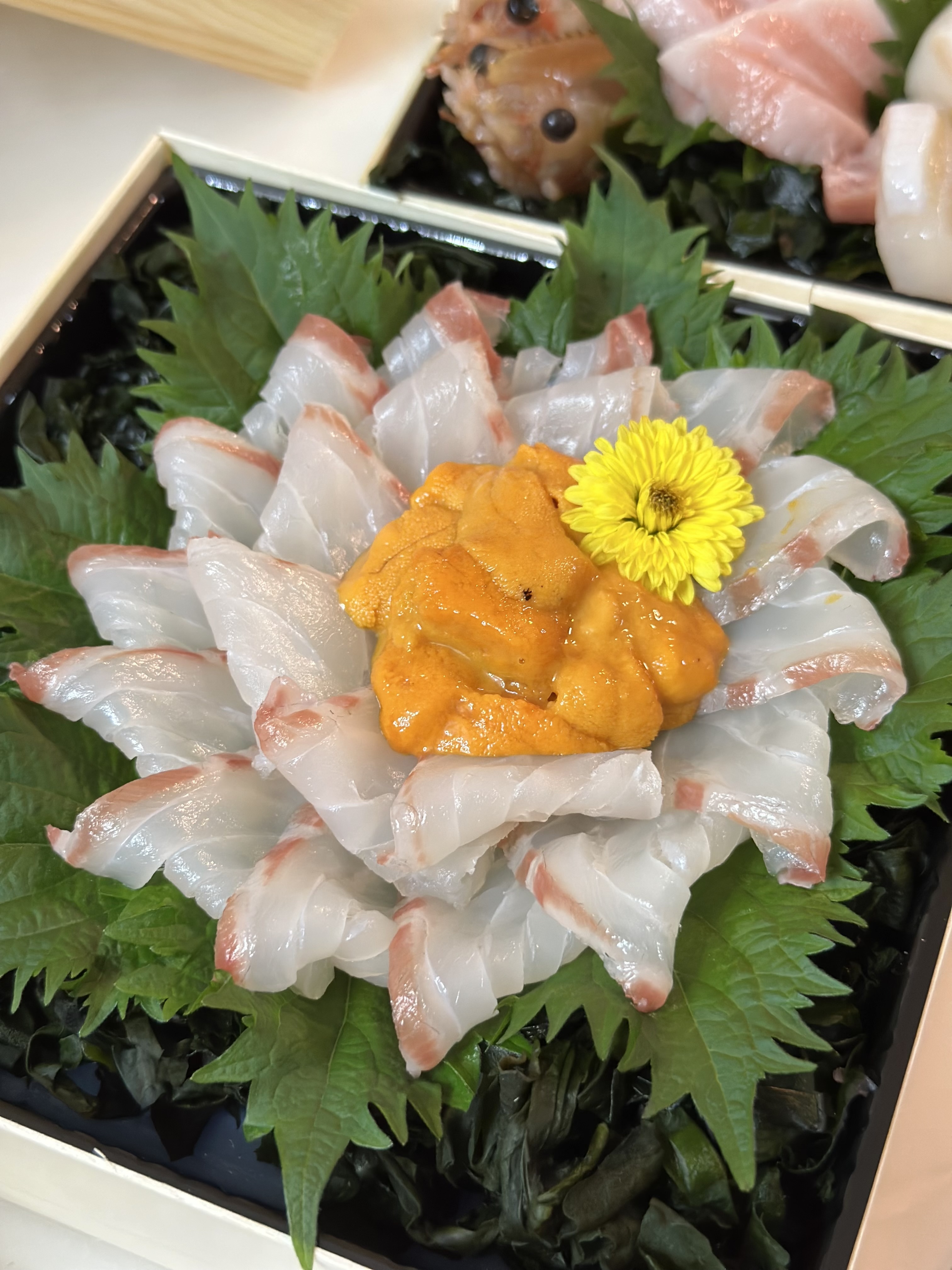 薄切-真鯛刺身 配海膽