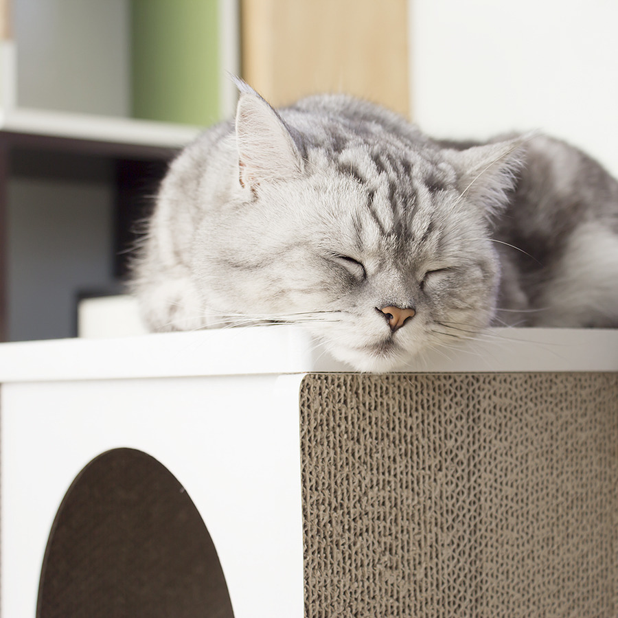 安閣家Angle Wave 好舒壓貓屋 (白色)