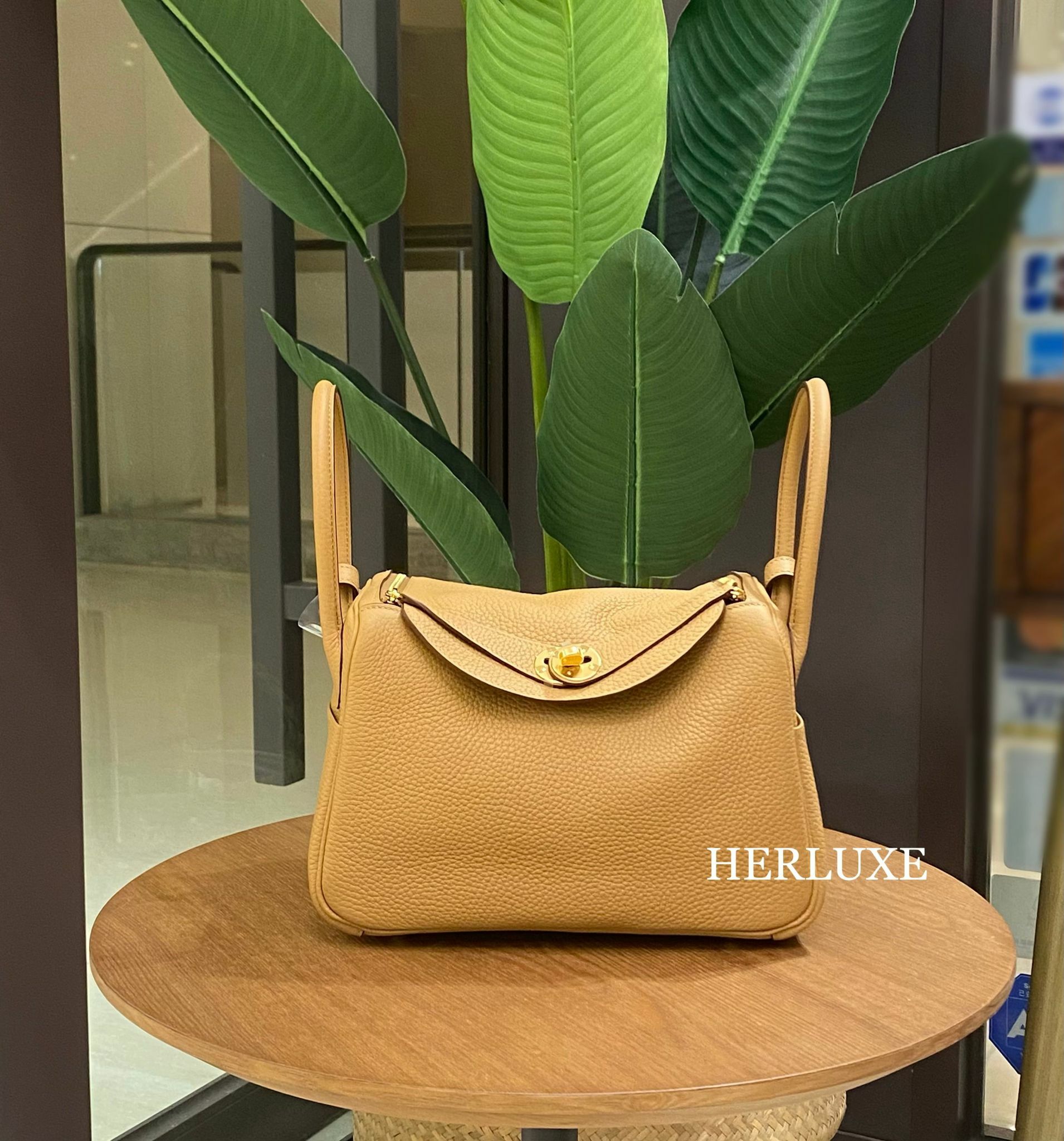 Lindy 26 4B biscuit cc tc B