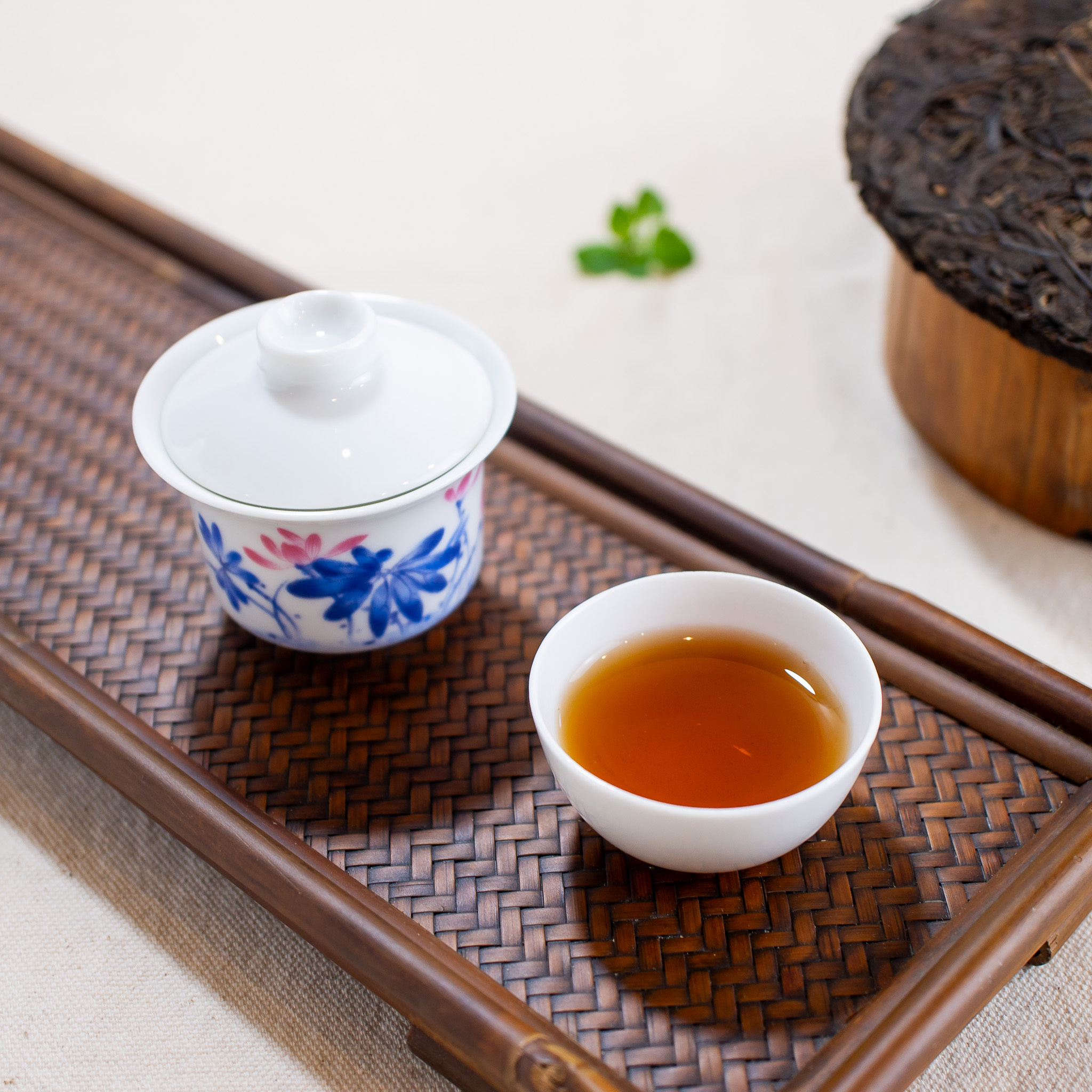 廣東省茶業公司－1999年生餅