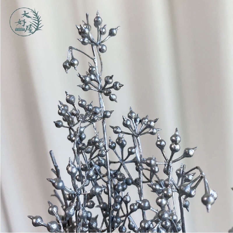 乾燥/永生 小米果【大束裝】