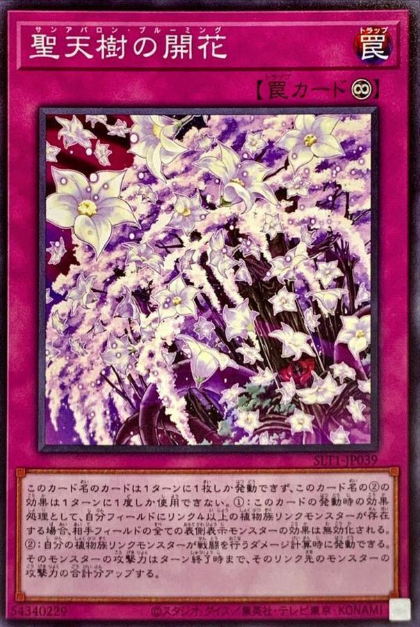 SLT1-JP039 聖天樹の開花