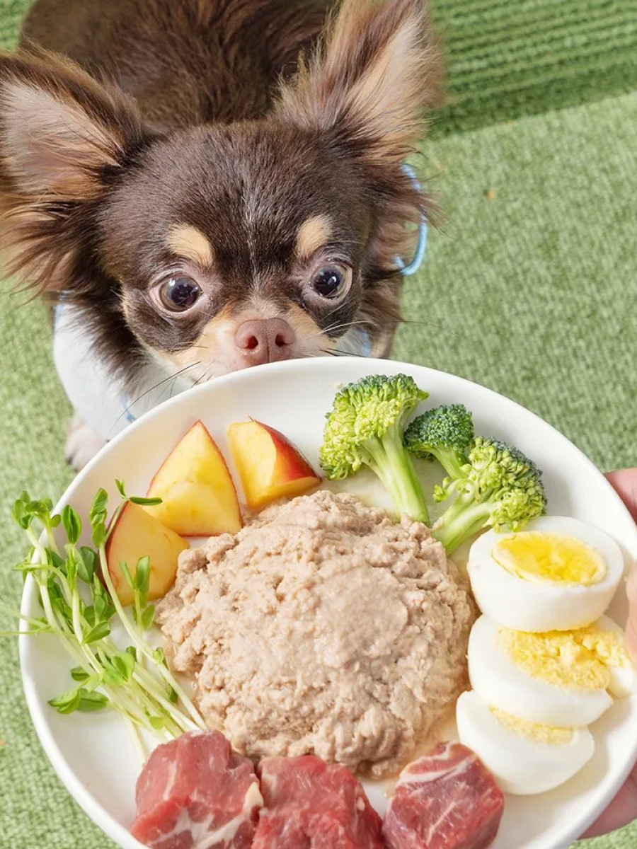 【怪獸部落】犬用｜寶寶無膠主食罐｜咕咕雞